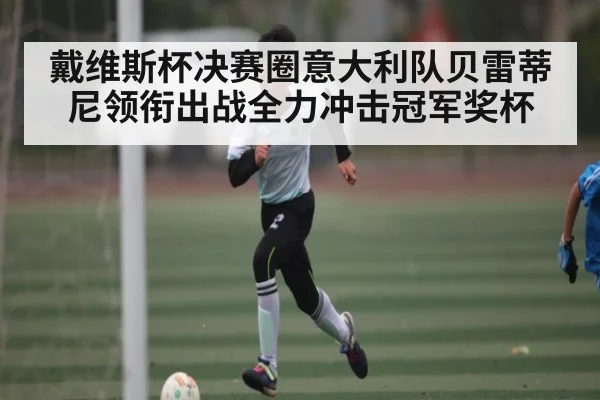 戴维斯杯决赛圈意大利队贝雷蒂尼领衔出战全力冲击冠军奖杯